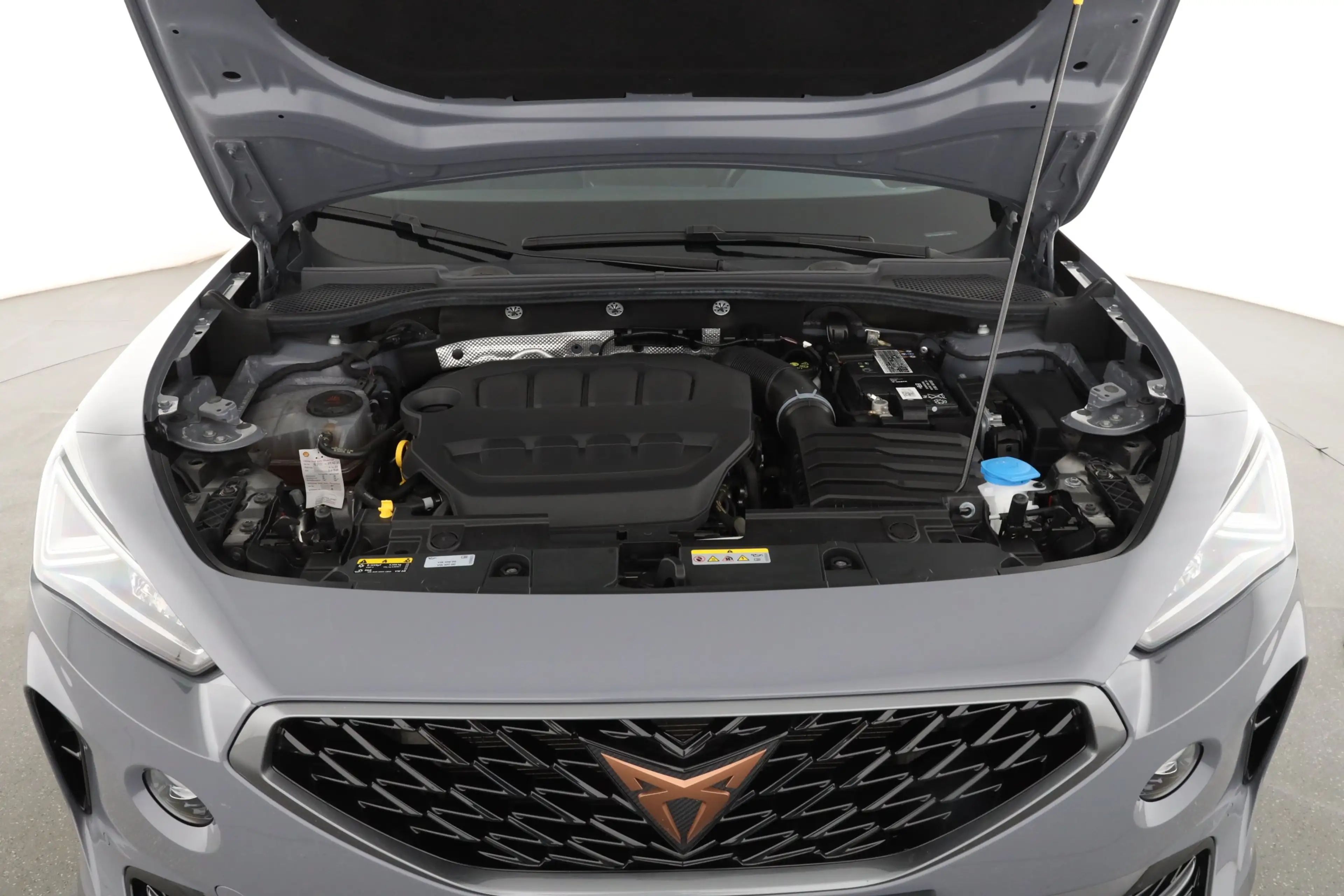 CUPRA Formentor 2.0 TSI DSG 4Drive VZ BEATSAUDIO | — photo 9