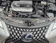 Lexus UX 250h 2.0 Business 2wd cvt Gris - thumbnail 8