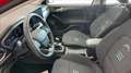 Ford Focus 1.0 EcoBoost Hybrid 125 CV 5p. Active Rouge - thumbnail 22