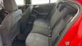 Ford Focus 1.0 EcoBoost Hybrid 125 CV 5p. Active Rouge - thumbnail 27