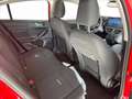 Ford Focus 1.0 EcoBoost Hybrid 125 CV 5p. Active Rouge - thumbnail 29