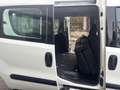Fiat Doblo 5 posti Combi N1 Bianco - thumbnail 10