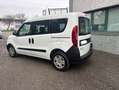 Fiat Doblo 5 posti Combi N1 Bianco - thumbnail 5