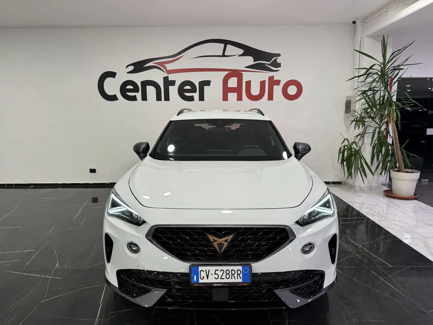 CUPRA Formentor Formentor 2.0 TDI 4Drive DSG 4 ANNI GARANZIA CUPRA - 2
