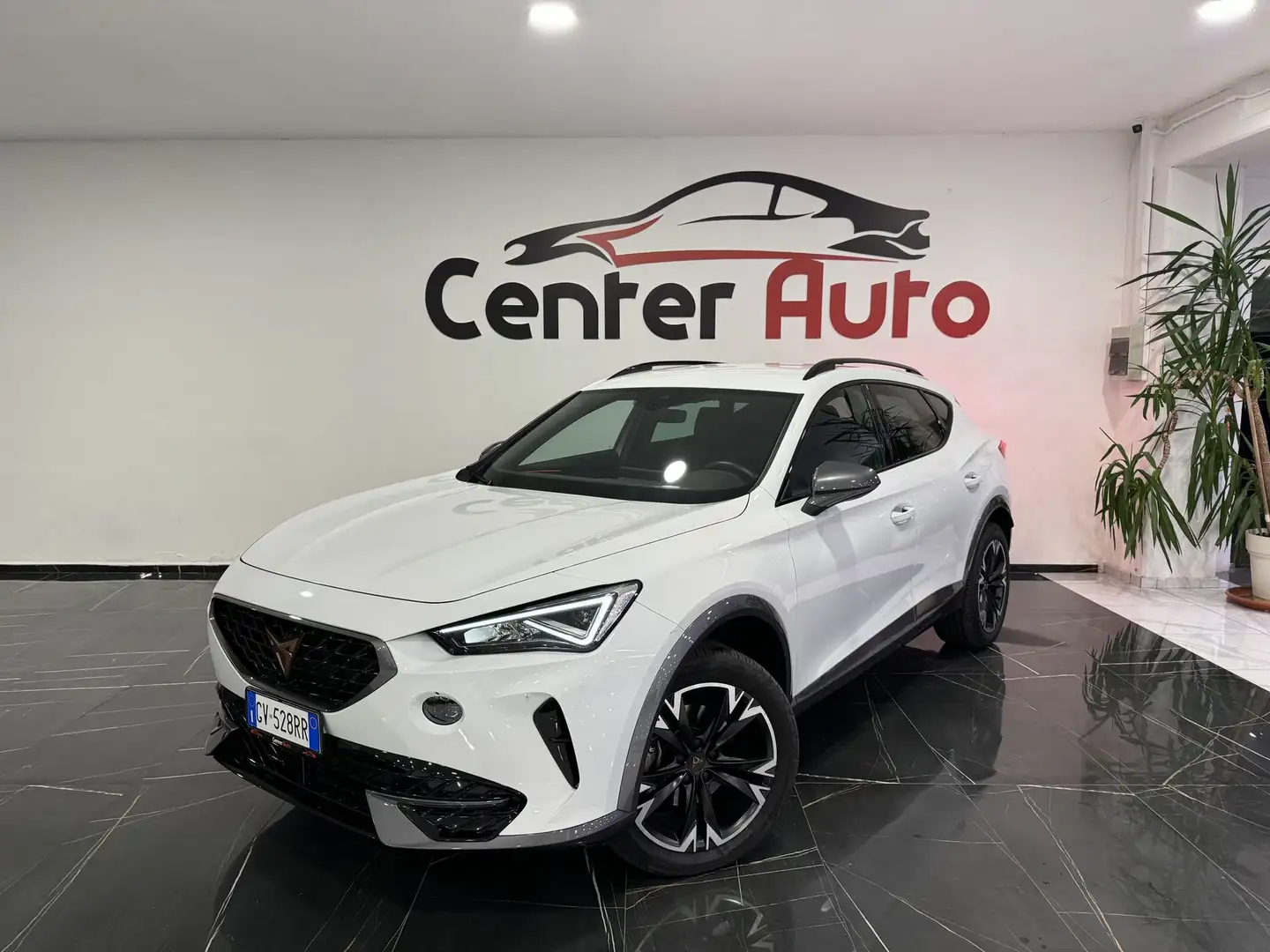 CUPRA Formentor Formentor 2.0 TDI 4Drive DSG 4 ANNI GARANZIA CUPRA - 1