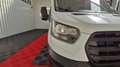 Ford Transit 2.0 ECOBLUE 170 P350 L4H3 TREND BUSINESS Blanco - thumbnail 24