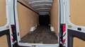Ford Transit 2.0 ECOBLUE 170 P350 L4H3 TREND BUSINESS Blanco - thumbnail 18