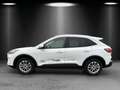 Ford Kuga Titanium X PHEV HUD El. Panodach Navi digit Blanc - thumbnail 2