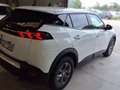 Peugeot 2008 Active Pack BlueHDI 81kW (110CV) Blanco - thumbnail 22