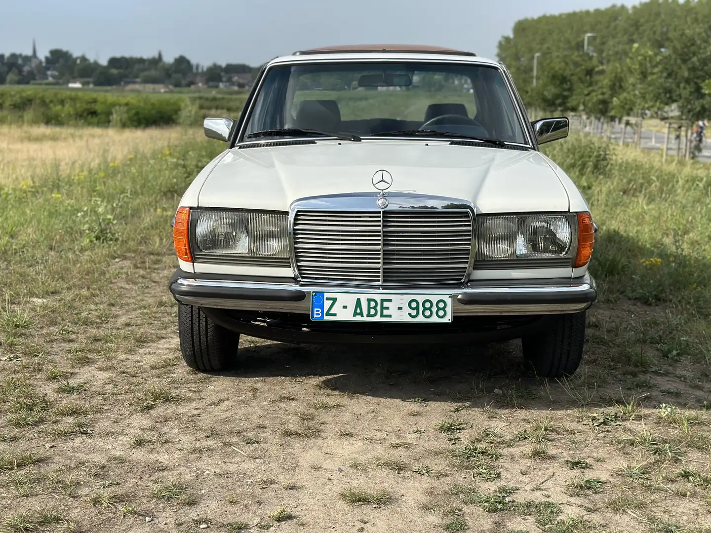 Mercedes-Benz 250 Mercedes w123 250 6 cilinder 137.000km - 1