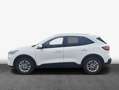 Ford Kuga 2.0 EcoBlue Aut. TITANIUM 88 kW, 5-türig (Die Bianco - thumbnail 4