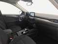 Ford Kuga 2.0 EcoBlue Aut. TITANIUM 88 kW, 5-türig (Die Bianco - thumbnail 10