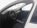 Ford Kuga 2.0 EcoBlue Aut. TITANIUM 88 kW, 5-türig (Die Bianco - thumbnail 7