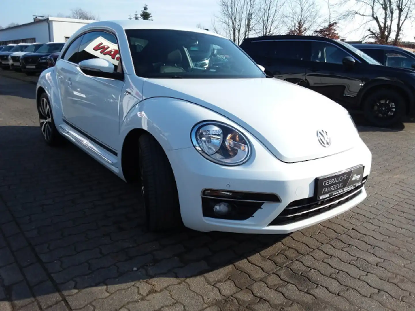 Volkswagen Beetle Cup R-Line Klimaaut.|SHZ|Einparkhilfe|BT Biały - 2