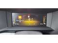 Opel Zafira Life SHZ AHK STANDHZ LED PANO 7-SITZER - thumbnail 14