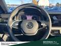 Skoda Kamiq Selection DSG AHK Fahrassistenz-Paket Infotainment Wit - thumbnail 15