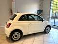 Fiat 500 1.0 Hybrid lounge DOLCEVITA 70cv Neopaten. CARPLAY Bianco - thumbnail 4