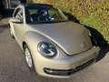 Volkswagen Beetle 1.2 TSI Design Brons - thumbnail 7