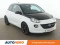 Opel Adam 1.4 Black Jack*PDC*SHZ*LHZ*TEMPO*KLIMA*GARANTIE* Blanc - thumbnail 8
