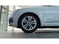 Audi Q7 S line 50 TDI qu AHK/Assist/Matrix/Pano/Kam/DAB/20 Weiß - thumbnail 24