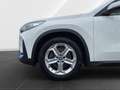 BMW iX 1 xDrive30 LivePro/Head-Up/CarPlay/Driving+/Parkin Weiß - thumbnail 8