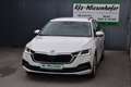 Skoda Octavia 1.5 TSI ACT Hybrid Ambition OPF Weiß - thumbnail 2