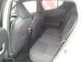 Toyota C-HR 125H Advance Blanco - thumbnail 5
