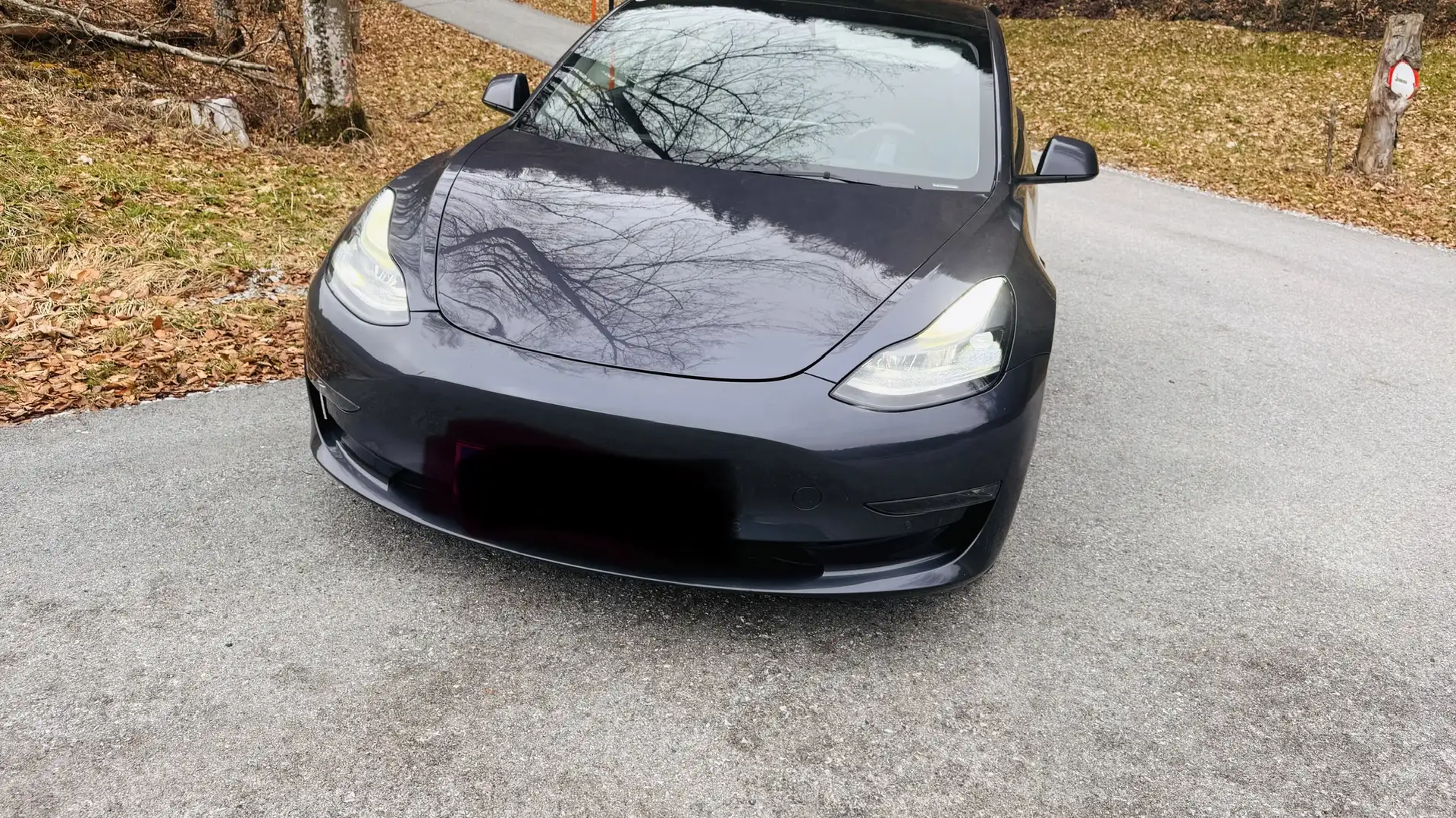 Tesla Model 3 Long Range 75kWh - 1