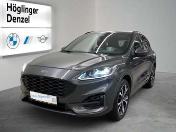 2,0 EcoBlue AWD ST-Line X