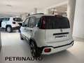 Fiat Panda 1.0 FireFly S&S Hybrid Pandina 5 Posti Km.0 Wit - thumbnail 6