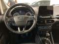 Ford EcoSport EcoSport 1.5 ecoblue Titanium SOLO 75.000 KM Blu/Azzurro - thumbnail 12