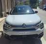 Citroen C4 BlueHDi 130 cv S&S EAT8 Plus Bianco - thumbnail 2