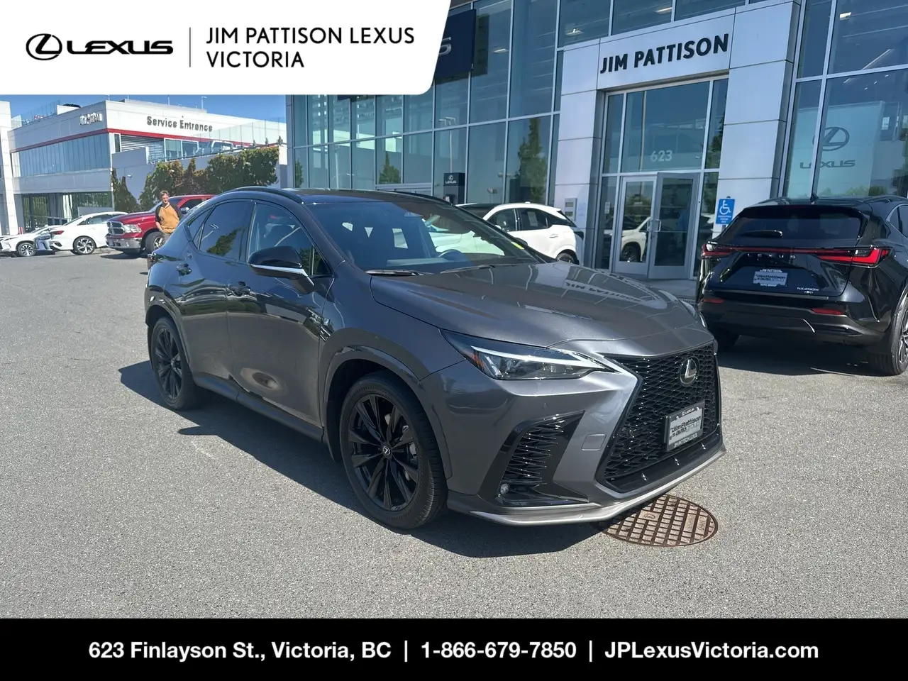 2024 Lexus NX photo 2024 Lexus NX