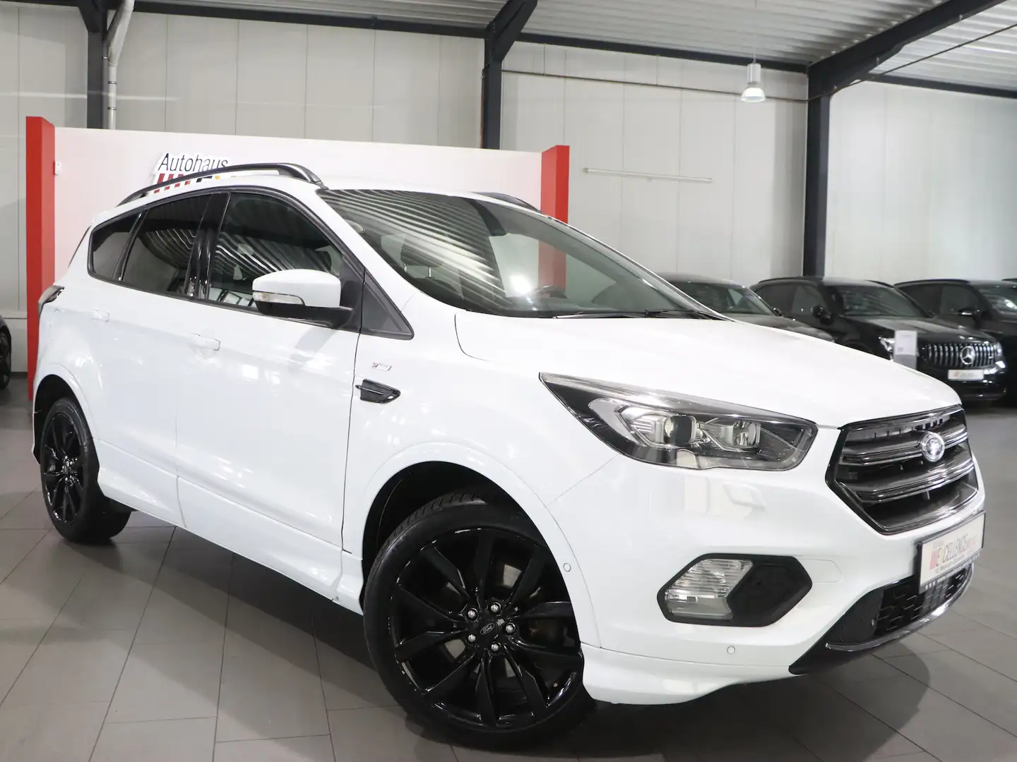 Ford Kuga ST-LINE SPORT WHITE & BLACK / XENON, LEDER Bianco - 2