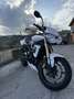 Triumph Street Triple 675 - thumbnail 1