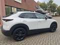 Mazda CX-30 2.5L e-SKYACTIV G 140ps Homura Weiß - thumbnail 4