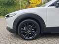 Mazda CX-30 2.5L e-SKYACTIV G 140ps Homura Weiß - thumbnail 11