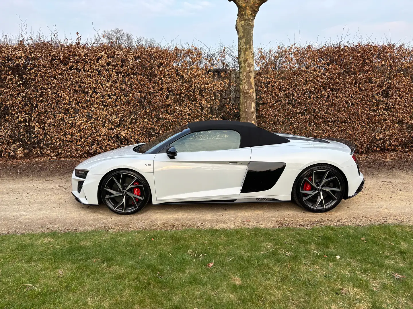 Audi R8 R8 Spyder V10 performance 5.2 FSI quattro S tronic Blanc - 1