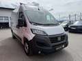 Fiat Ducato 35 Maxi 140 Multijet L2H2 (EURO 6d) Weiß - thumbnail 3