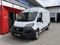 Fiat Ducato 35 Maxi 140 Multijet L2H2 (EURO 6d) Weiß - thumbnail 1