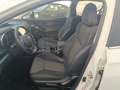 Subaru XV 2.0i Hybrid Sport Plus CVT Blanco - thumbnail 16