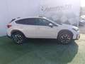 Subaru XV 2.0i Hybrid Sport Plus CVT Blanco - thumbnail 3