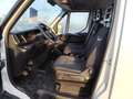 Iveco Daily IVECO Industrial  Manual de 4 Puertas Blanc - thumbnail 8