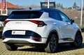 Kia Sportage 1.6 tgdi GT-line Sunroof Pack 180cv auto TETTO Bianco - thumbnail 6