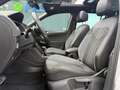 Volkswagen Tiguan 2.0 TDI R-LINE 4MO. AHK PANO KAMERA Silber - thumbnail 11