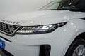 Land Rover Range Rover Evoque 2.0D MHEV S AWD Aut. 150 Blanco - thumbnail 10