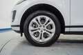 Land Rover Range Rover Evoque 2.0D MHEV S AWD Aut. 150 Blanco - thumbnail 11