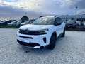 Citroen C5 Aircross Aircross 1.5 BlueHDi Shine Weiß - thumbnail 1
