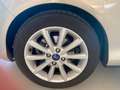 Ford B-Max 1.4 Titanium GPL 87cv E6 Бежевий - thumbnail 20