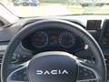 Dacia Sandero Stepway Extreme TCe 90 CVT Grün - thumbnail 14
